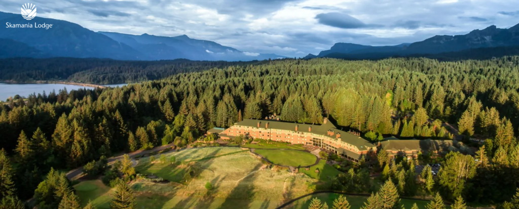 Forest lodge by lake